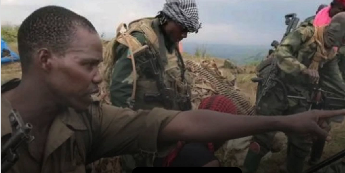 Déclaration politique de soutien aux forces d'autodéfense populaires Wazalendos